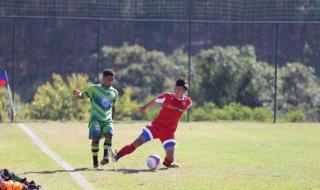 鲁能球员名单及照片